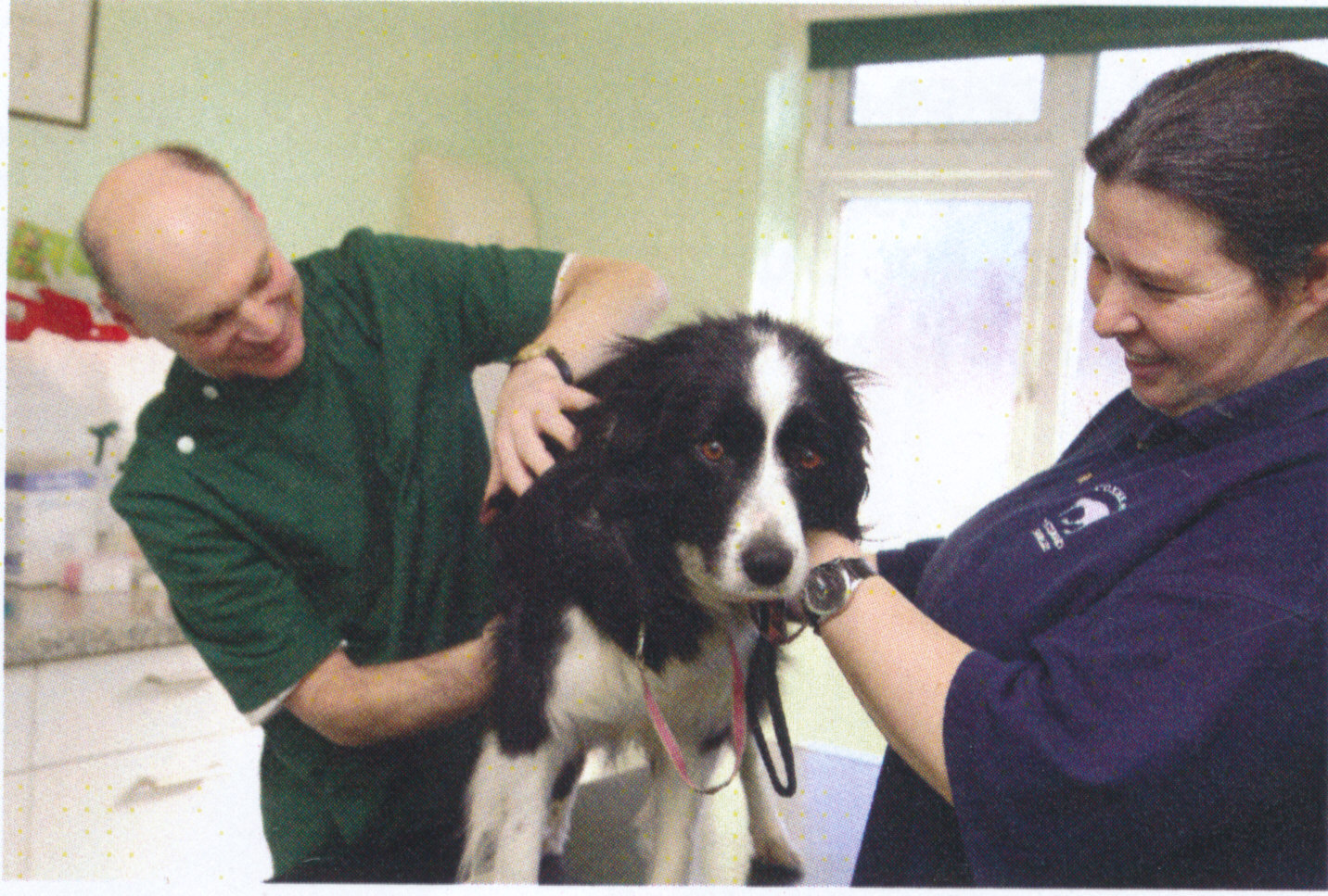 Services Coxheath Veterinary Surgery